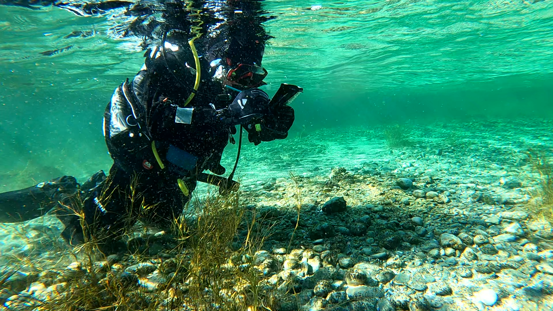 Bild zeigt einen Taucher im See