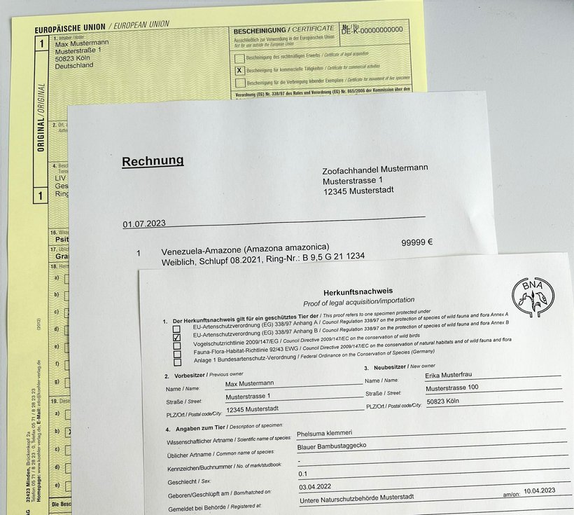 Verschiedene Dokumente, die die Nachweispflicht erfüllen können