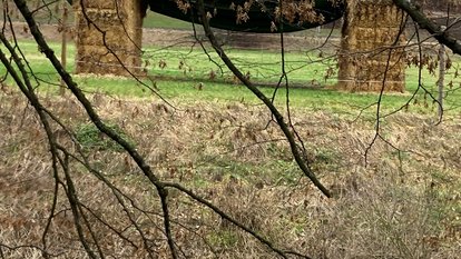 Ein Weideunterstand steht auf dem Grünstreifen neben der Jagst