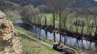 Gehölzpflege an der Enz bei Besigheim