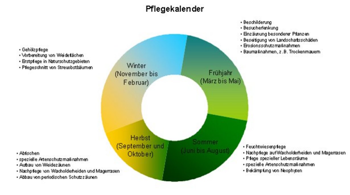 Pflegekalender