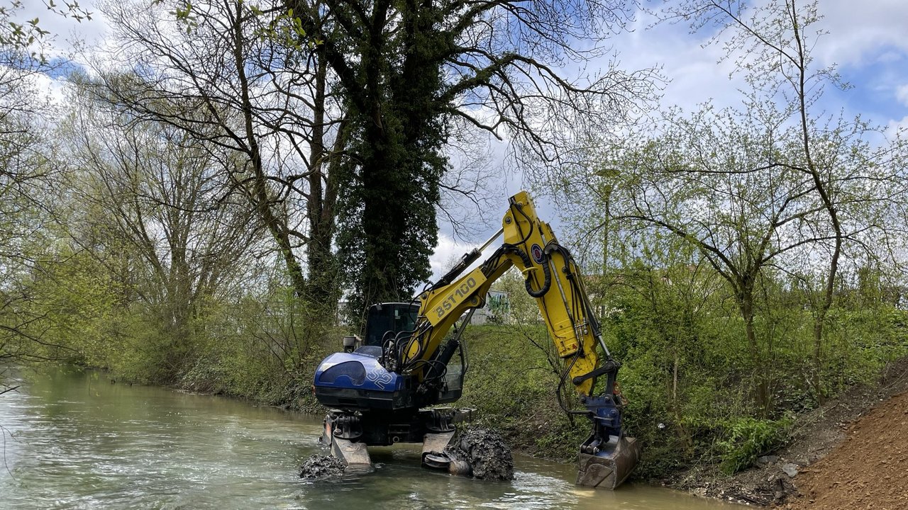 Ein Bagger arbeitet in der Brenz, am Ufer steht ein Baum daneben Büsche