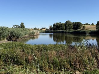 Mühlweiher bei Fichtenau