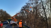 Verkehrssicherungsarbeiten mit Hebebühne