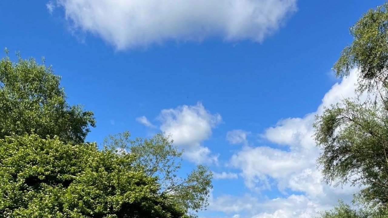 Bild zeigt Umweltstaatssekretär Dr. Andre Baumann, im Hintergrund ein See und 5 Kinder, die auf Bänken vor einem Tisch sitzen