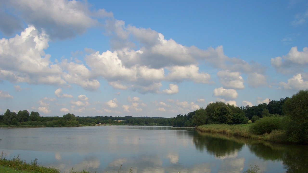 Bild zeigt Naturschutzgebiet Vorbecken Buch