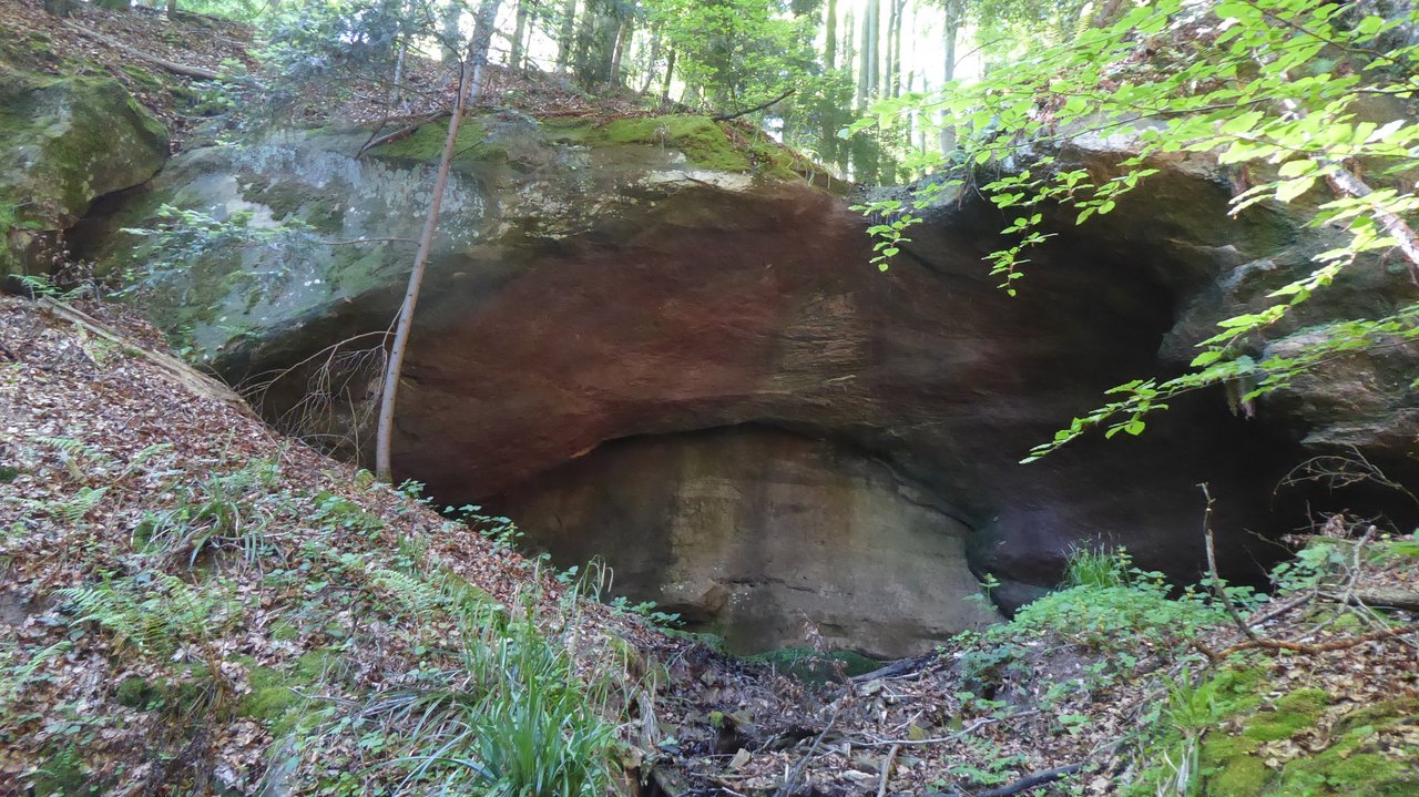 Auswaschungen im Stubensandstein (Grotten) sind typisch für das Naturschutzgebiet Steinhäusle