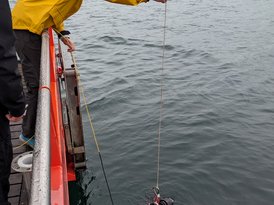 Der Unterwasserroboter des ISF der LUBW wird von Bord der MS Kormoran zu Wasser gelassen 