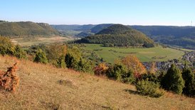 Wacholderheide im Naturschutzgebiet Haarberg-Wasserberg mit Blick auf den Wei-goldsberg und das Obere Filstal. 