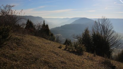 Gepflegte Wacholderheide im Naturschutzgebiet Haarberg-Wasserberg