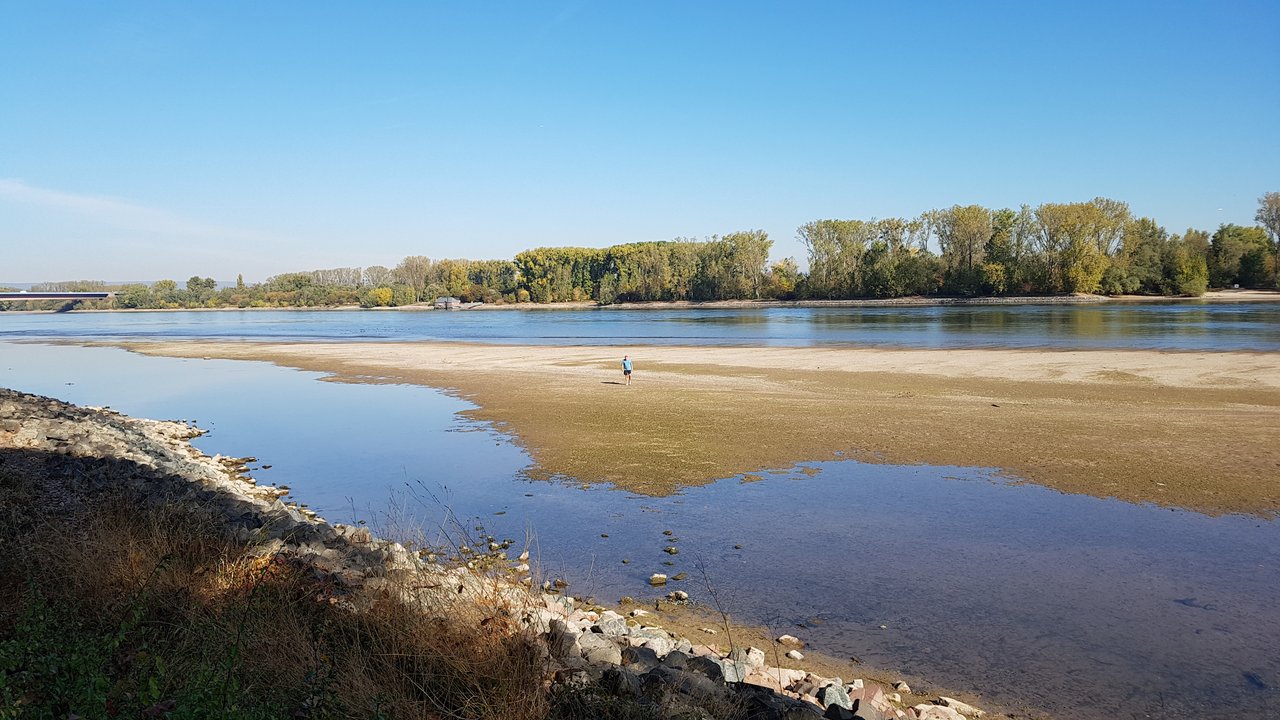 Fluß mit Niedrigwasser