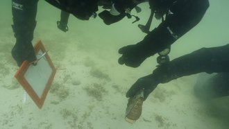 Taucher bei der Untersuchung von Pfahlreihen in der Flachwasserzone um die Insel Reichenau
