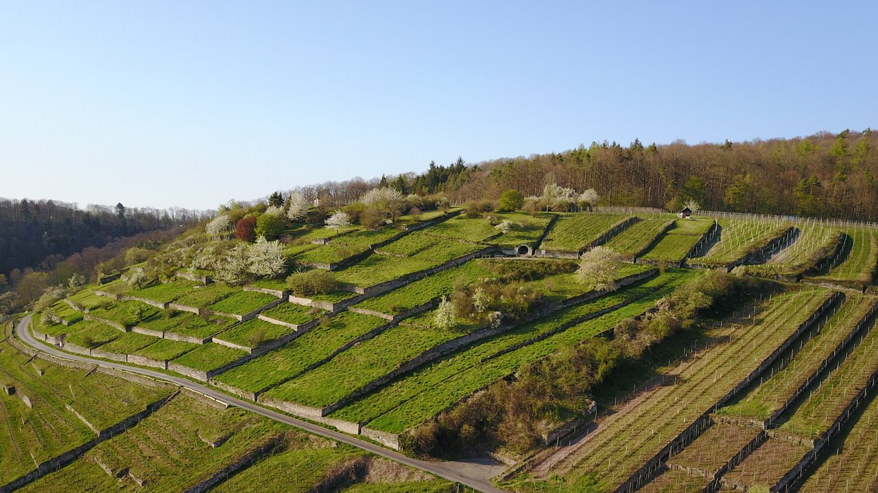 Kulturhistorische Weinlandschaft am Geigersberg