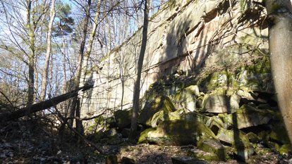Naturschutzgebiet "Schilfsandsteinbruch beim Jägerhaus"