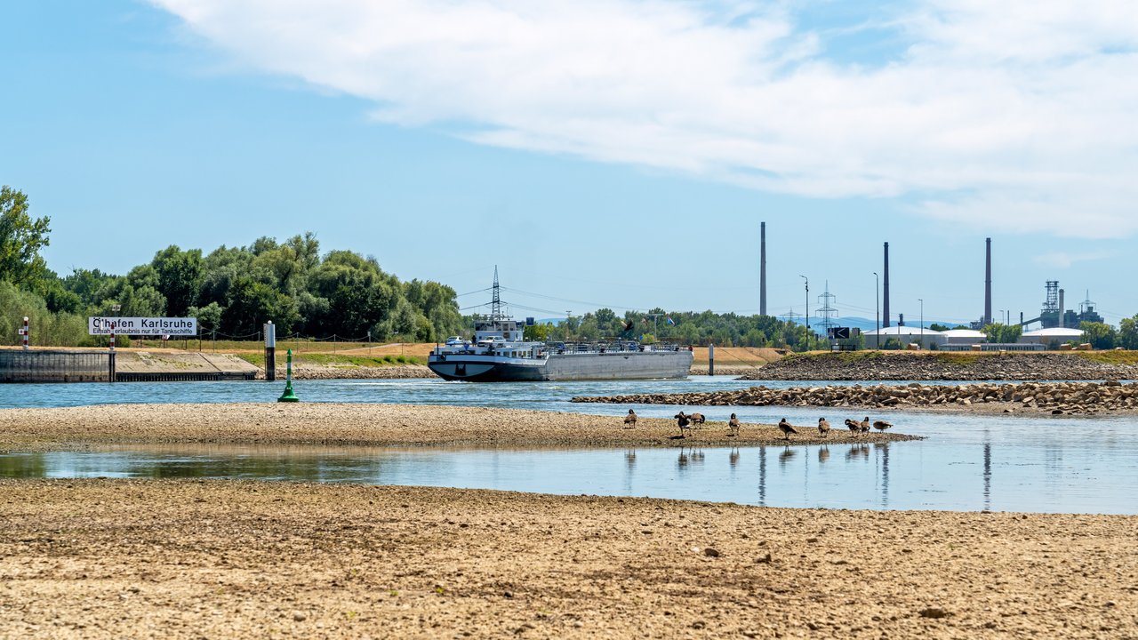 Ein Öltanker fährt auf dem Rhein bei Niedrigwasser dazwischen Sandbänke mit Vögeln