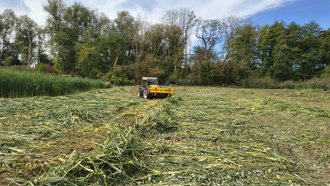 Schwaden des Materials
