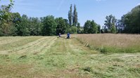 Mäharbeiten an der Tauber
