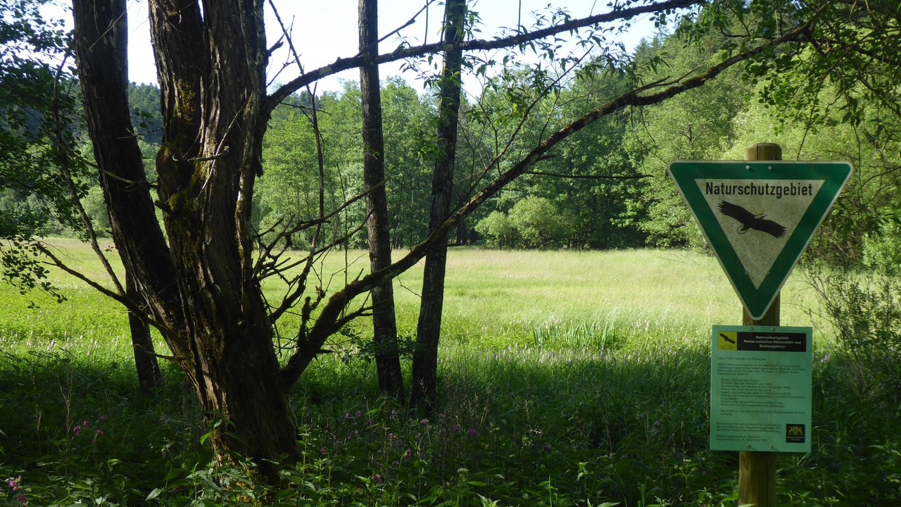 Naturschutzgebiet „Rottal zwischen Hüttenbühl und Buchengehren
