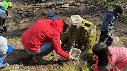 Regierungspräsidentin Bay sammelt mit Kindern Insekten an einem Bach