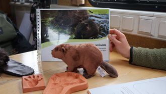 Teil des Rucksackinhalts