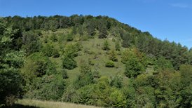 Naturschutzgebiet Mehlberg im Spätsommer