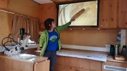 Eine Frau erklärt an einem Bildschirm im Ökomobil