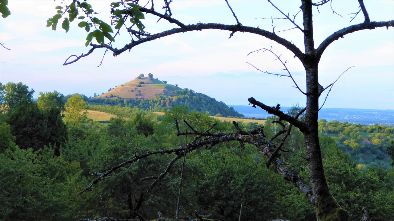 Die Gipfelkuppe der Limburg von Süden