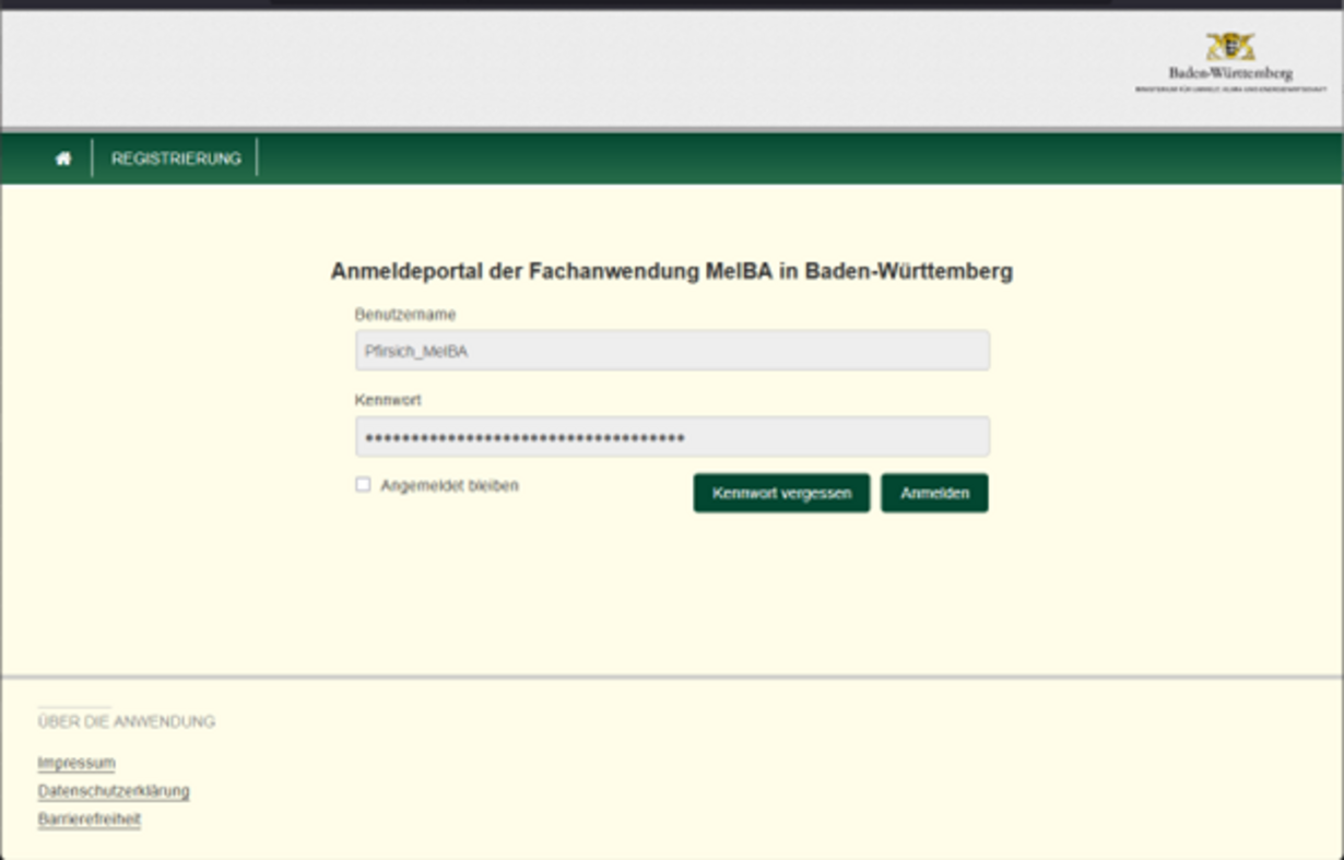 Bestandsmeldung Abbildung 1