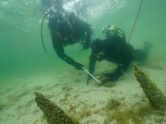 Taucharbeiten an den spätkarolingischen Pfahlreihen vor der Insel Reichenau.