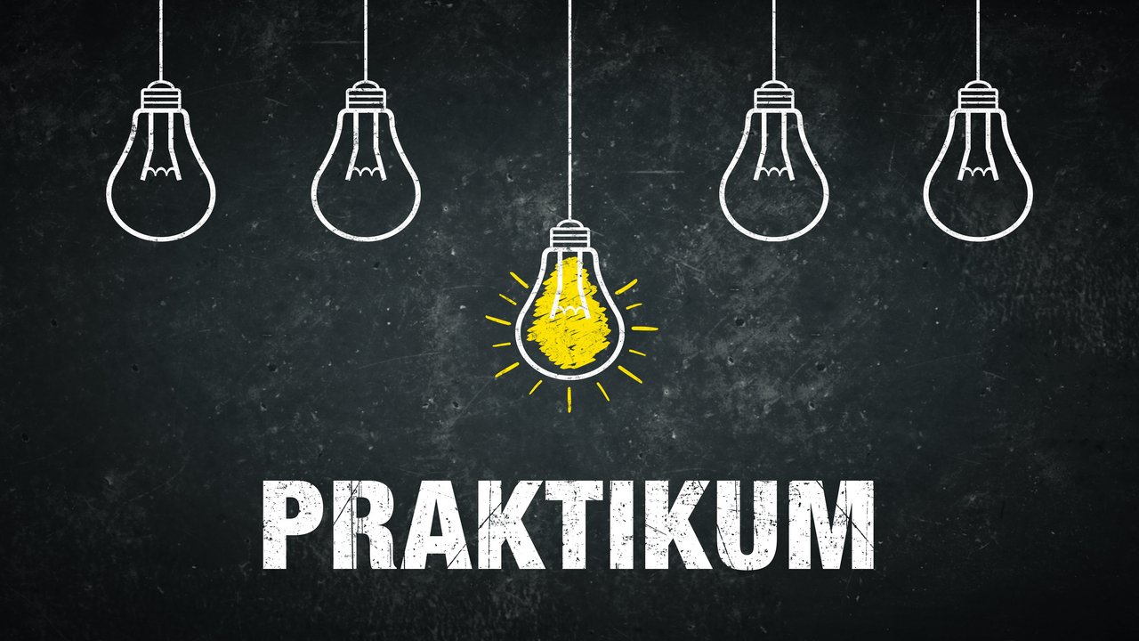 Bild zeigt hängende Glühbirnen mit Schriftzug "Praktikum"