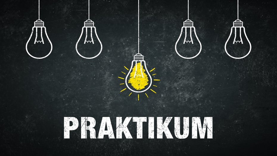 Bild zeigt hängende Glühbirnen mit Schriftzug "Praktikum" Bild zeigt hängende Glühbirnen mit Schriftzug "Praktikum"