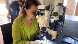 Nicole Ebinger, Chefrestauratorin, Landesamt für Denkmalpflege im Regierungspräsidium Stuttgart untersucht die emaillierte Trinkhornkette (Bild 4) aus einem ukrainischen Fürstengrab des 2. Jahrhunderts n.Chr.