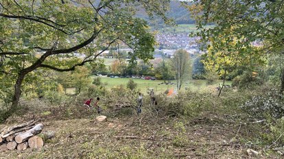 Landschaftspflegeeinsatz