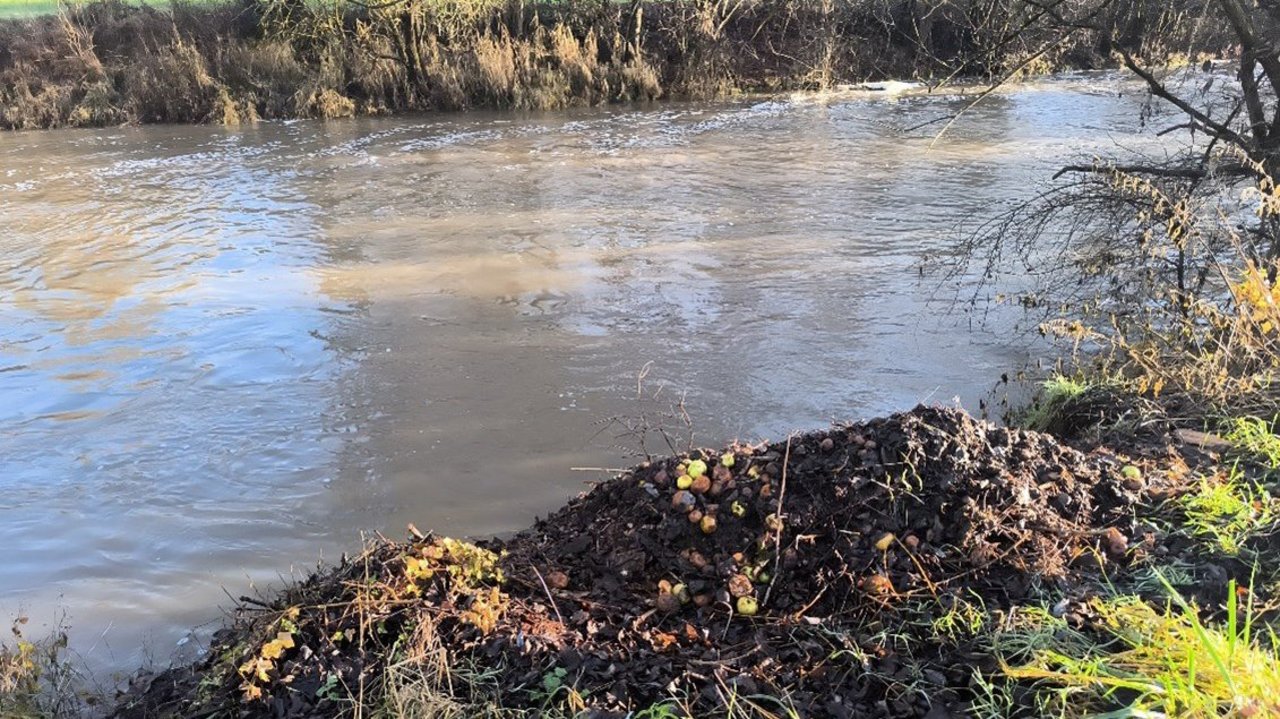 Bild zeigt Grünmüll im Gewässerrandstreifen