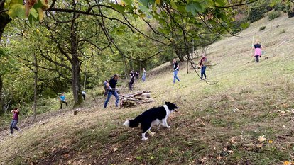 Landschaftspflegeeinsatz