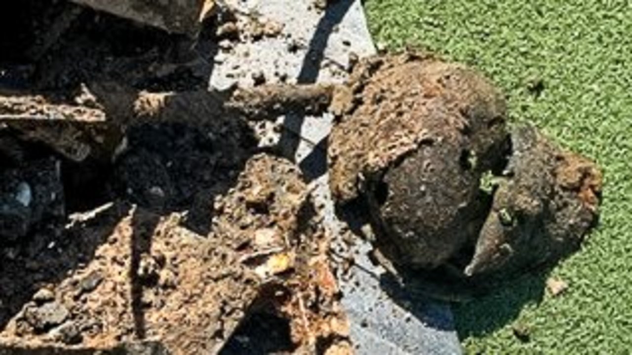 Fundgegenstand Donaustadion Ulm