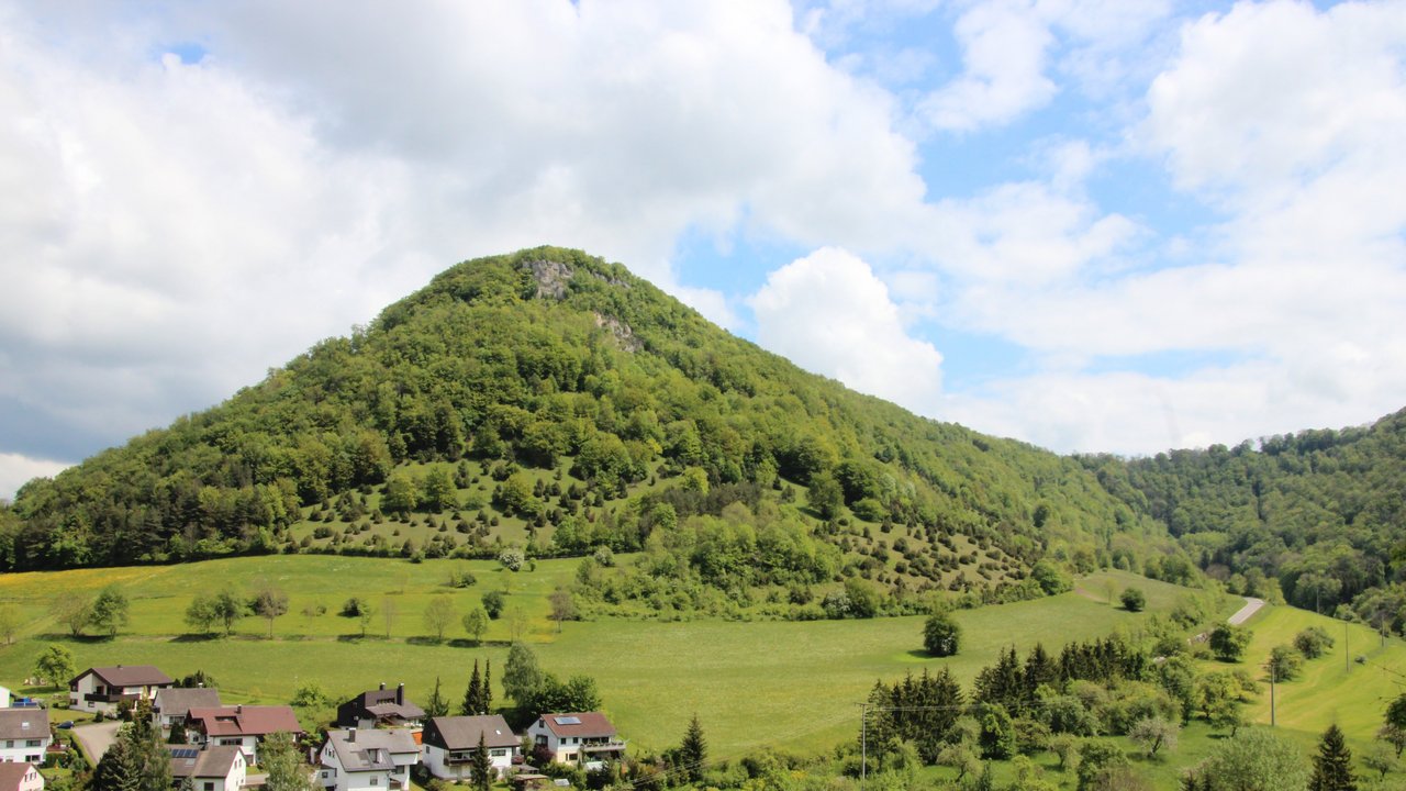Bild zeigt das Naturschutzgebiet Oberer Berg