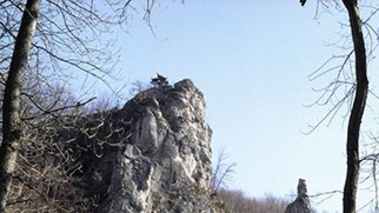 Roggenstein und Roggennadel