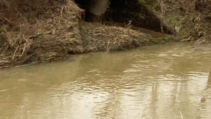 Ein Einlaufbauwerk im Uferbereich der Jagst
