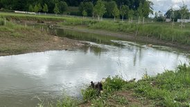 Einweihung der neuen Jagstschleifen in Ellwangen mit Regierungspräsidentin Susanne Bay