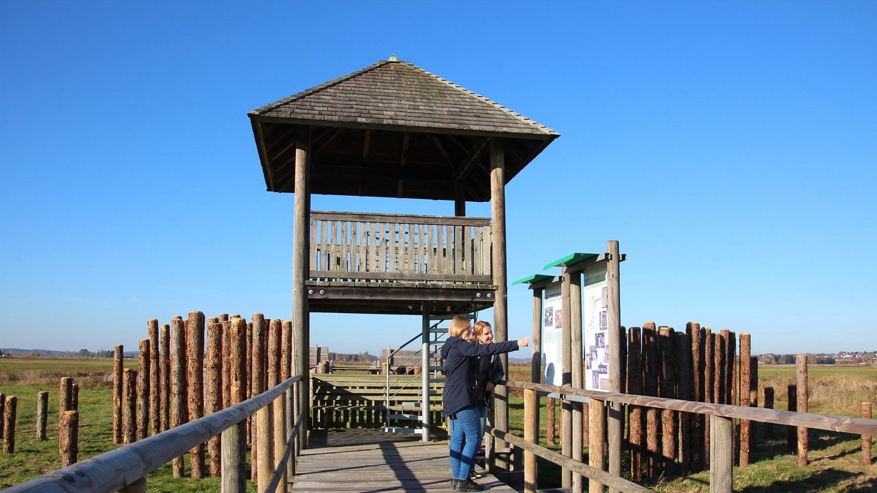 Bild zeigt Turm auf dem archäologischen Moorlehrpfad in Bad Buchau