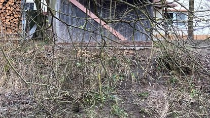 Eine Holzhütte steht auf dem Grünstreifen neben der Jagst, dahinter ein Wohnhaus