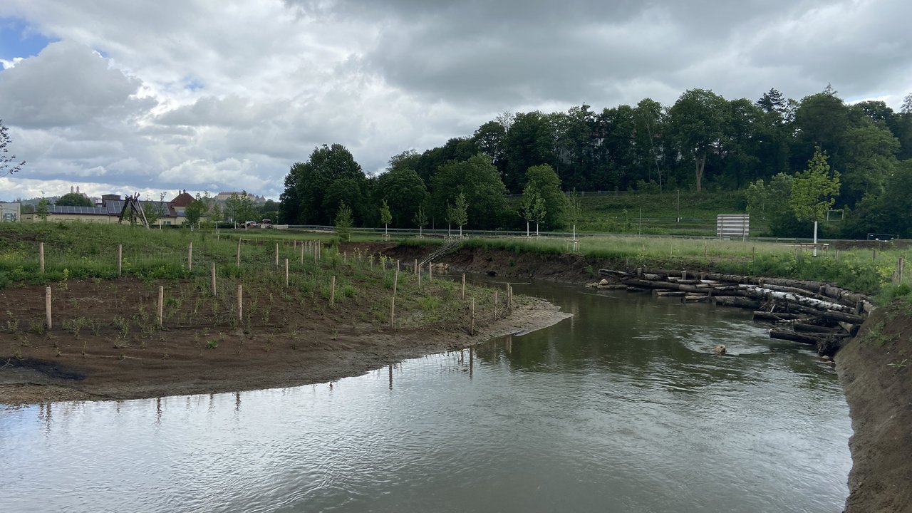 Aus dem ehemaligen 1,4 Kilometer langen begradigten Flusslauf mit festem Uferverbau entstand ein 2,0 Kilometer langer naturnaher, strukturreicher Flusslauf mit großen Mäanderschlaufen, Prall- und Gleithängen. Über Gleithänge kann das Wasser fließen und so Material mitnehmen oder anschwemmen.