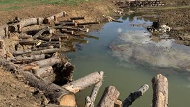 Gewässerökologie Jagstschlaufen