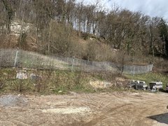 Vorabmaßnahme Steinschlagschutz