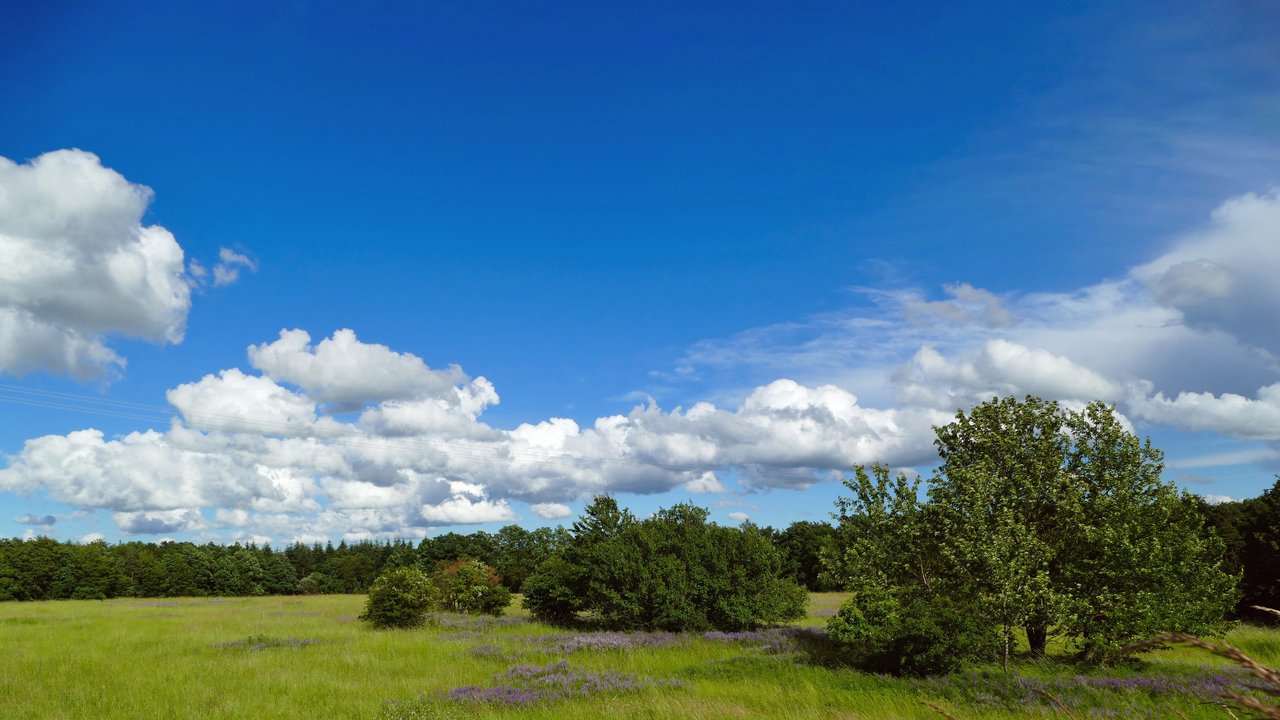 Wiesen und Gehölzgruppen im Naturschutzgebiet Brachenleite