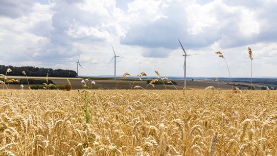 Windkraft mit Unternutzung Getreidefeld