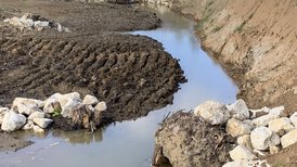 Gewässerökologie Jagstschlaufen