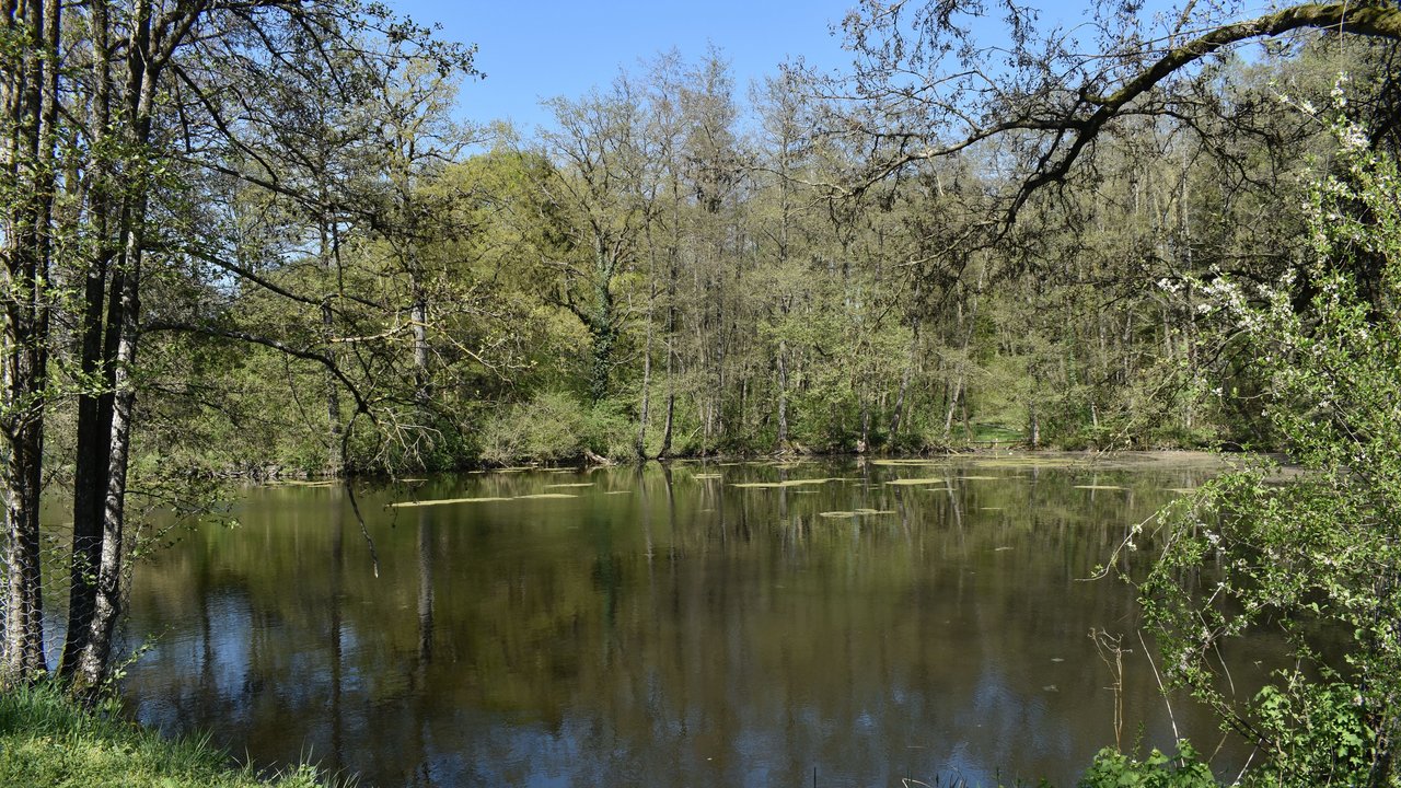 Naturschutzgebiet Hammersbachtal, Oberer Kirchsee 