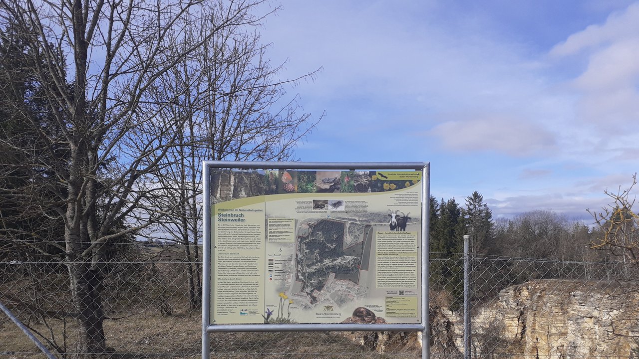 Bild zeigt eine Informationstafel im Naturschutzgebiet "Steinbruch Steinweiler" 